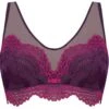 10189096 Triumph Beauty-Full Darling Underwired Bra - 10189096 Plum Purple