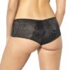 10194027 Triumph Lace Spotlight Brief - 10194027 Black