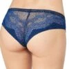 10156817 Triumph Beauty-Full Darling Hipster Brief - 10156817 Deep Water