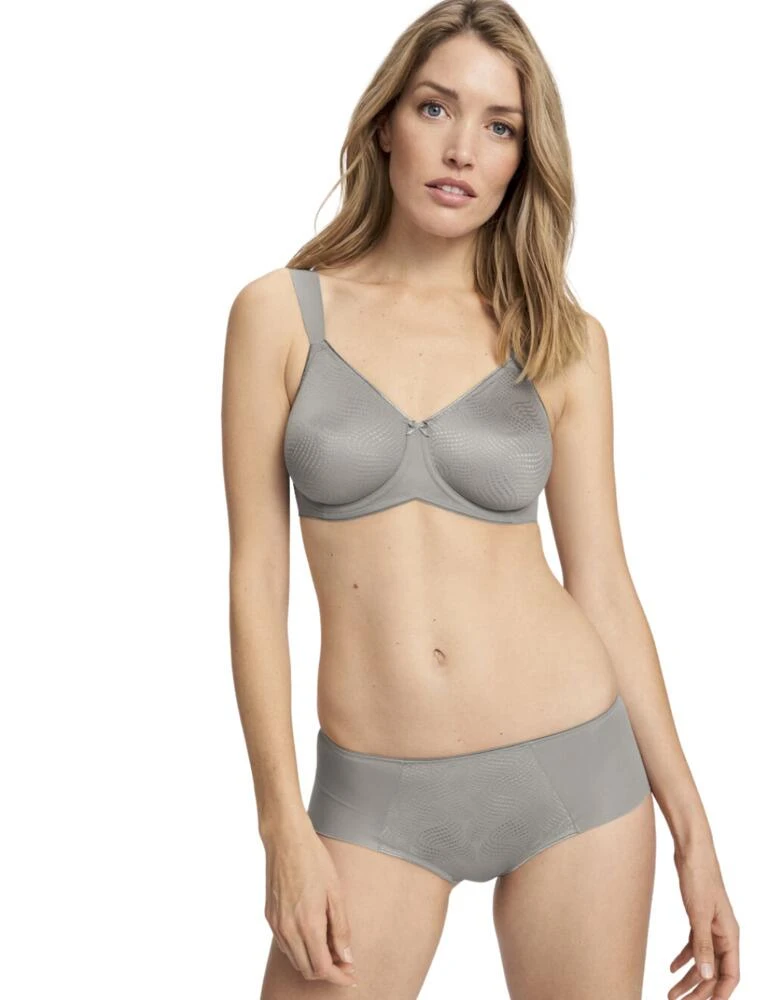 10166828 Triumph Essential Hipster Brief - 10166828 Grey - Image 2