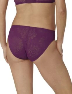 10202439 Triumph Fit Smart Tai Brief - 10202439 Crushed Berry
