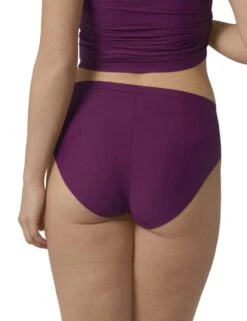10209288 Triumph Smart Micro Tai Plus Brief - 10209288 Crushed Berry