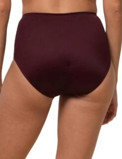 10162228 Triumph True Shape Sensation Maxi Brief - 10162228 Claret