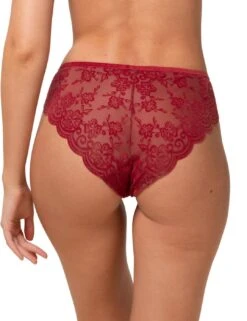 10213081 Triumph Amourette 300 Rococo High Leg Brazilian Brief - 10213081 Mannish Red