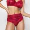 Triumph Ladyform- Briefs - Red Wood